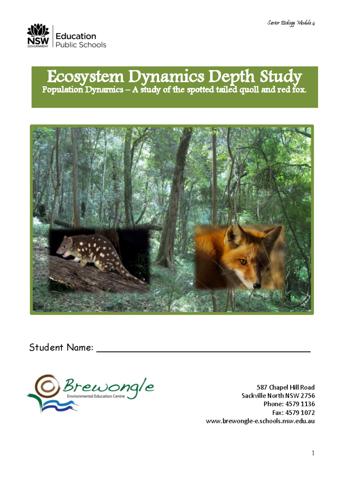 Ws Ecosystem Dynamics 21 July Senior Biology Module 4 Student Name Studocu Ws Ecosystem Dynamics 21 July Senior Biology Module 4 Student Name Studocu