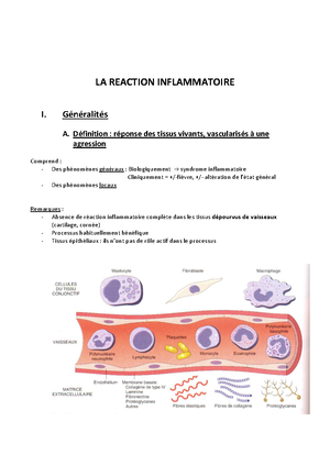 processus de réponse inflammatoire