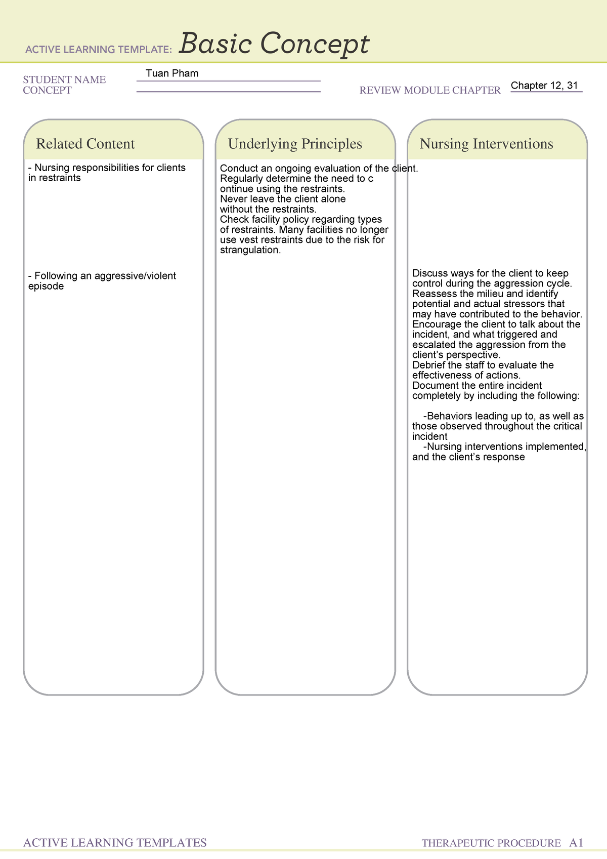 Interventions For A Client Who Is Aggressive Basic Concept Template