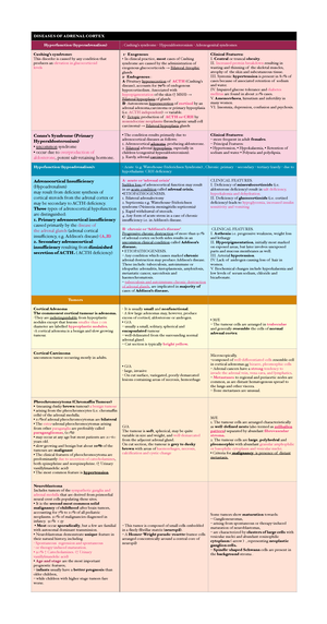 4. EKG Basics - Ecg ninja nerd - EKG BASICS CARDIOVASCULAR PHYSIOLOGY ...