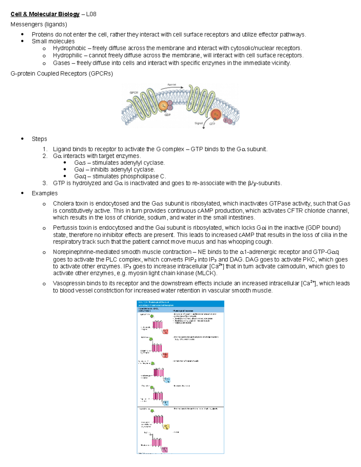 CMB - L08 - Lecture notes 8 - Cell & Molecular Biology – L Messengers ...