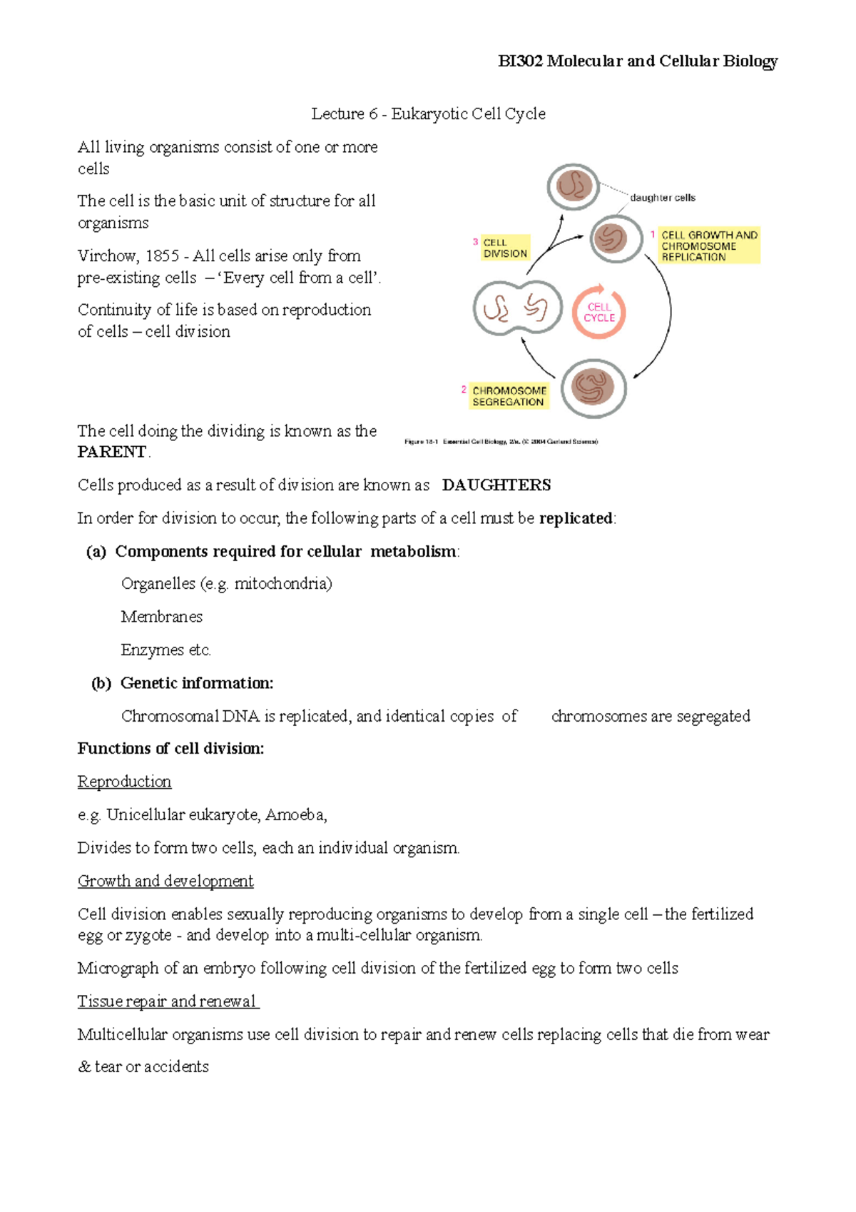 Lecture 6 - Lecture 6 - Eukaryotic Cell Cycle All living organisms ...