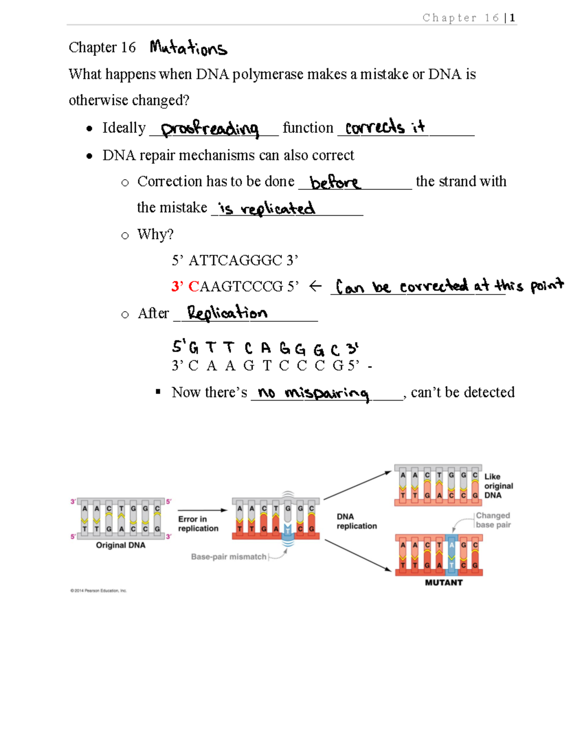 Chapter 16 Notes - C h a p t e r 1 6 | 1 Chapter 16 What happens when ...