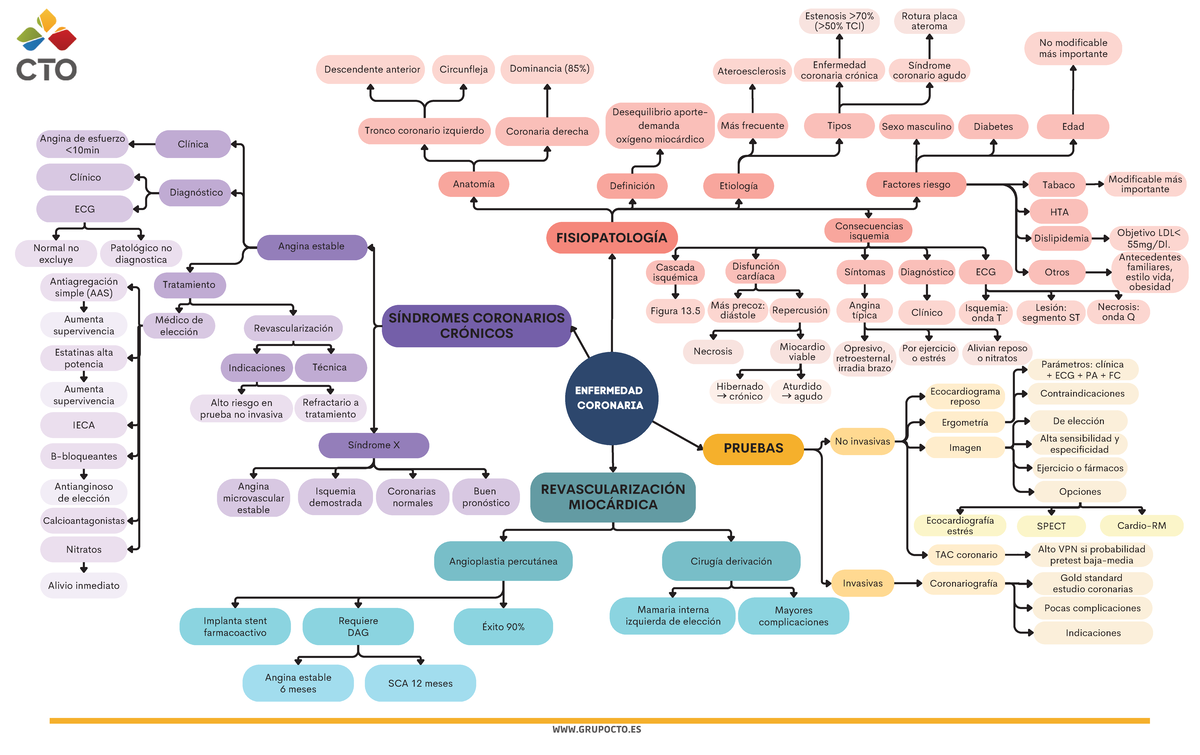 Cardio Esquemas - No Invasivas WWW.GRUPOCTO Definición Tronco Coronario ...