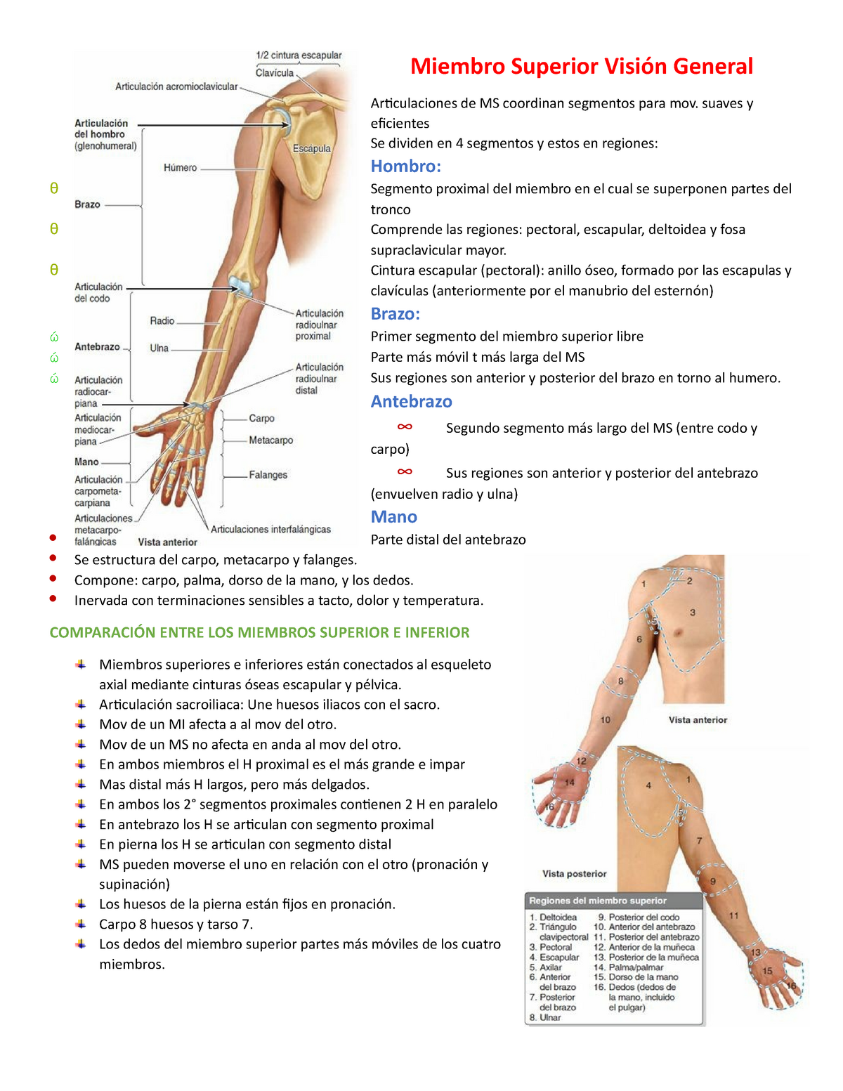 Miembro Superior Tema 1 Visión General Y Comparacion Ms Y Mi Miembro Superior Visión General 9304