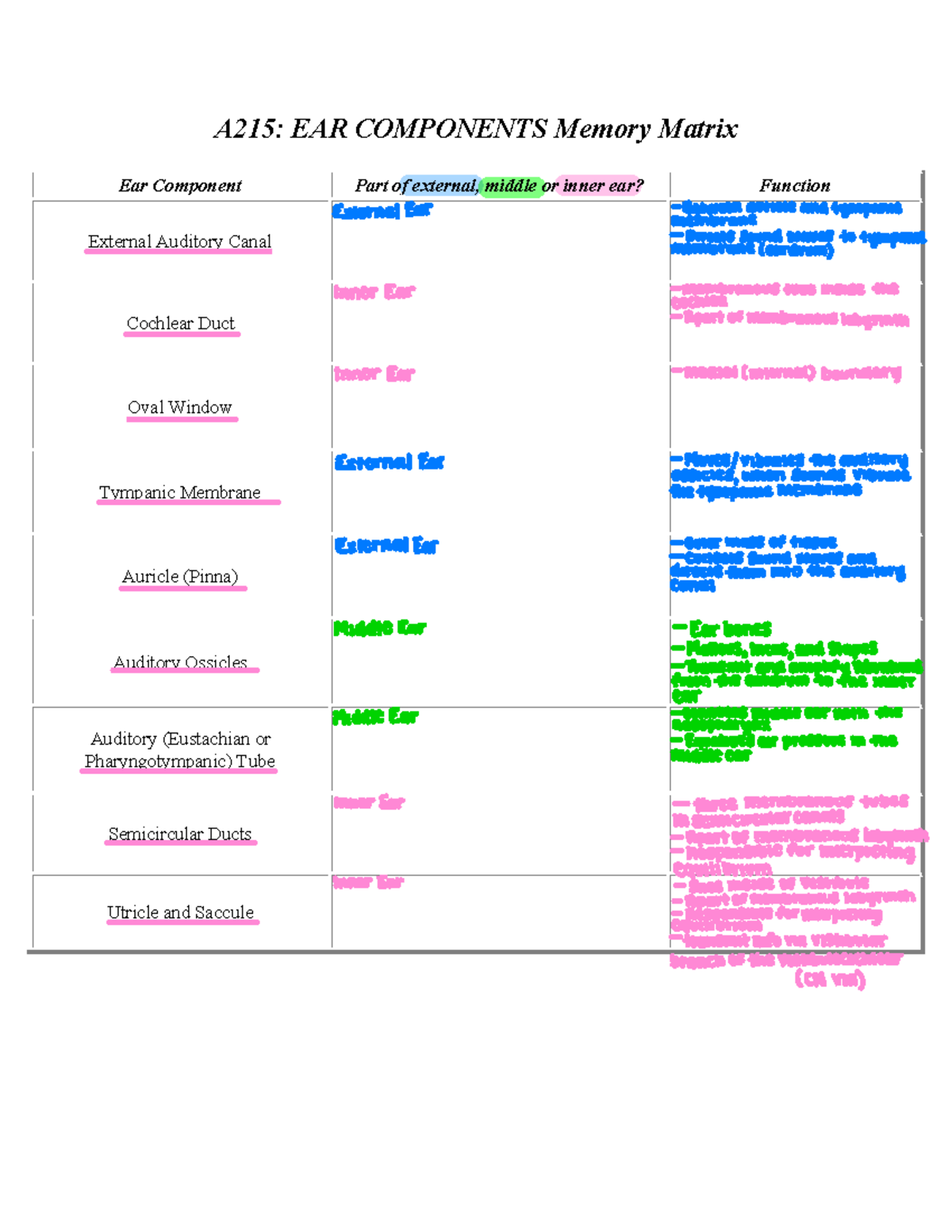 Ear components - annotated lecture notes - A215: EAR COMPONENTS Memory ...