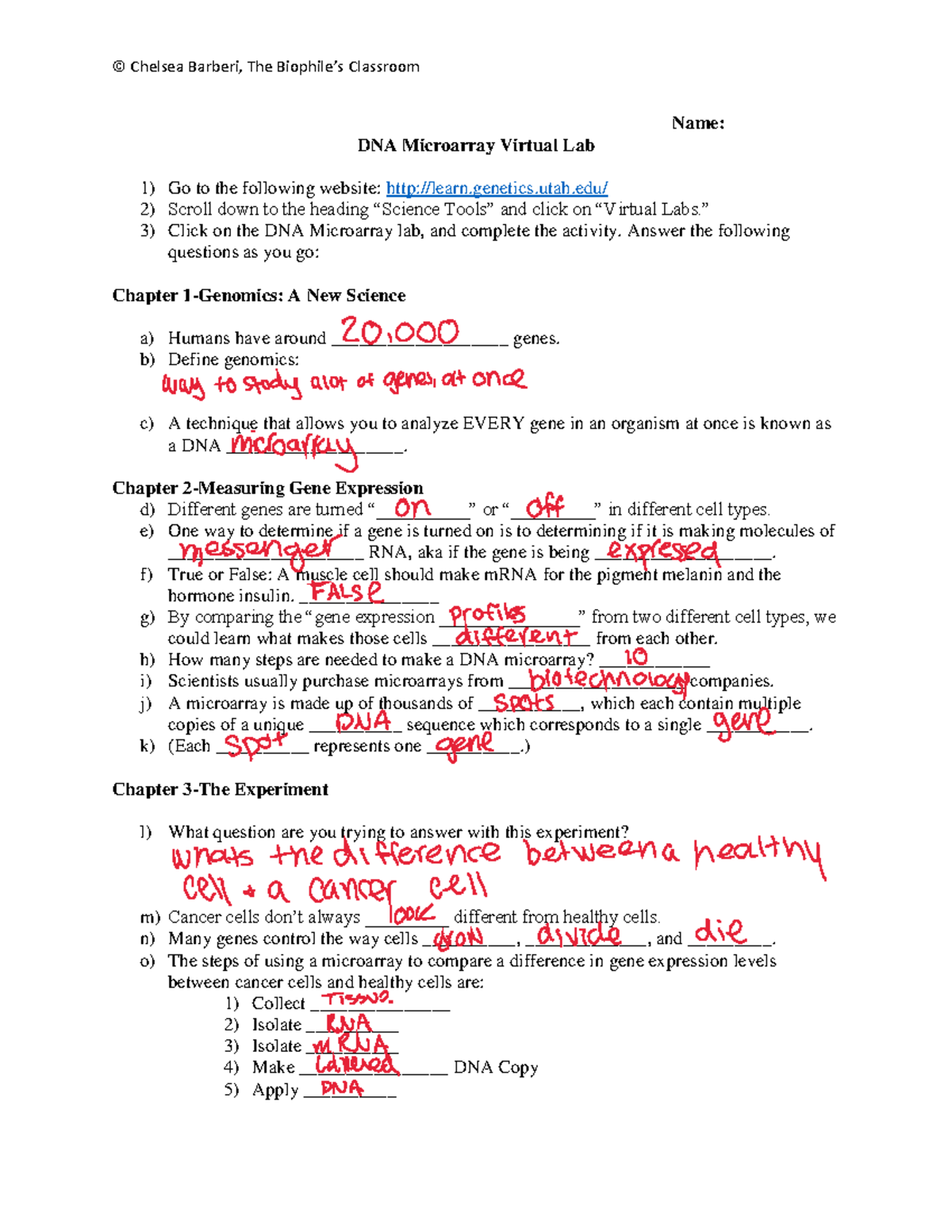 Biology lab Lab © Chelsea Barberi, The Biophile’s Classroom Name