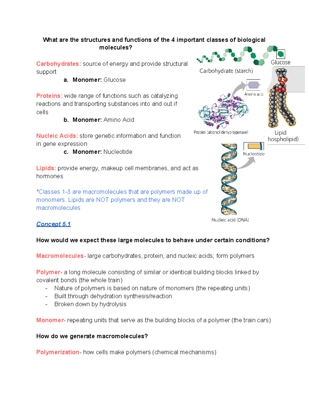 chapter-5-the-structure-function-of-large-biological-molecules-what