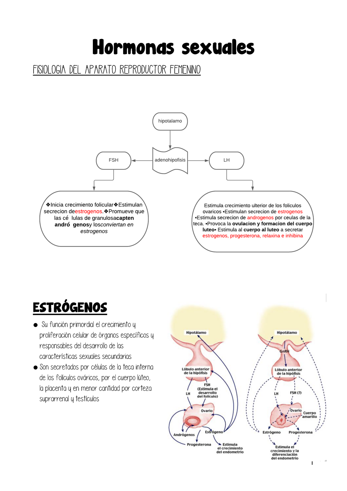 Hormonas Sexuales Fisiologia Hormonas Sexuales Fisiologia Del Aparato Reproductor Femenino