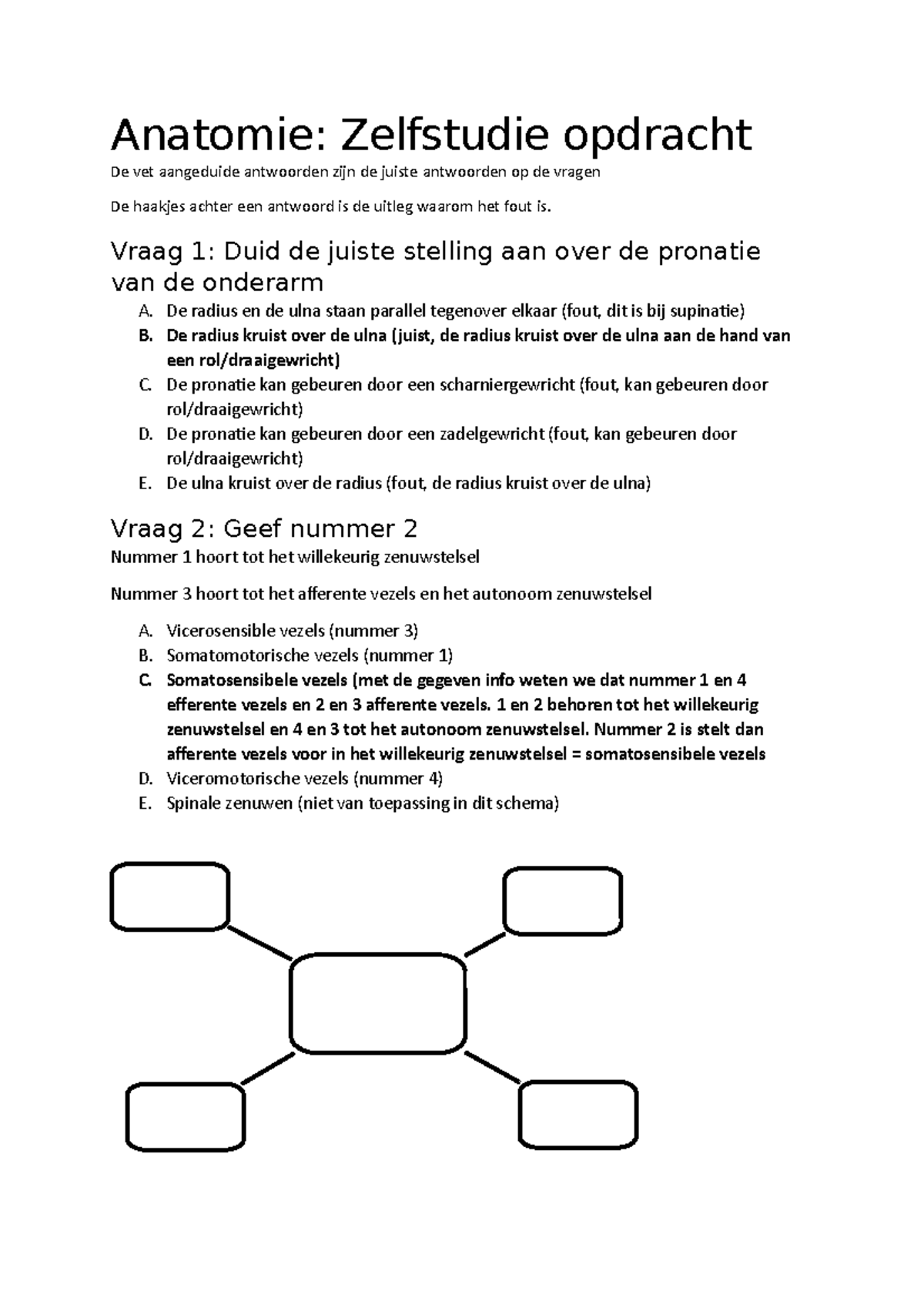 Zelfstudie Anatomie - Anatomie: Zelfstudie Opdracht De Vet Aangeduide ...