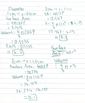 [Solved] According to a study done by Nick Wilson of Otago University ...