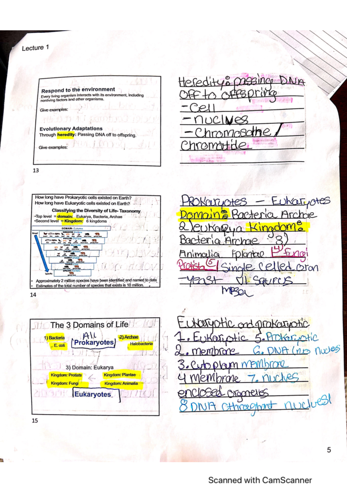 Lecture 1 notes pg 2 - N/A - BIOL 189 - Studocu