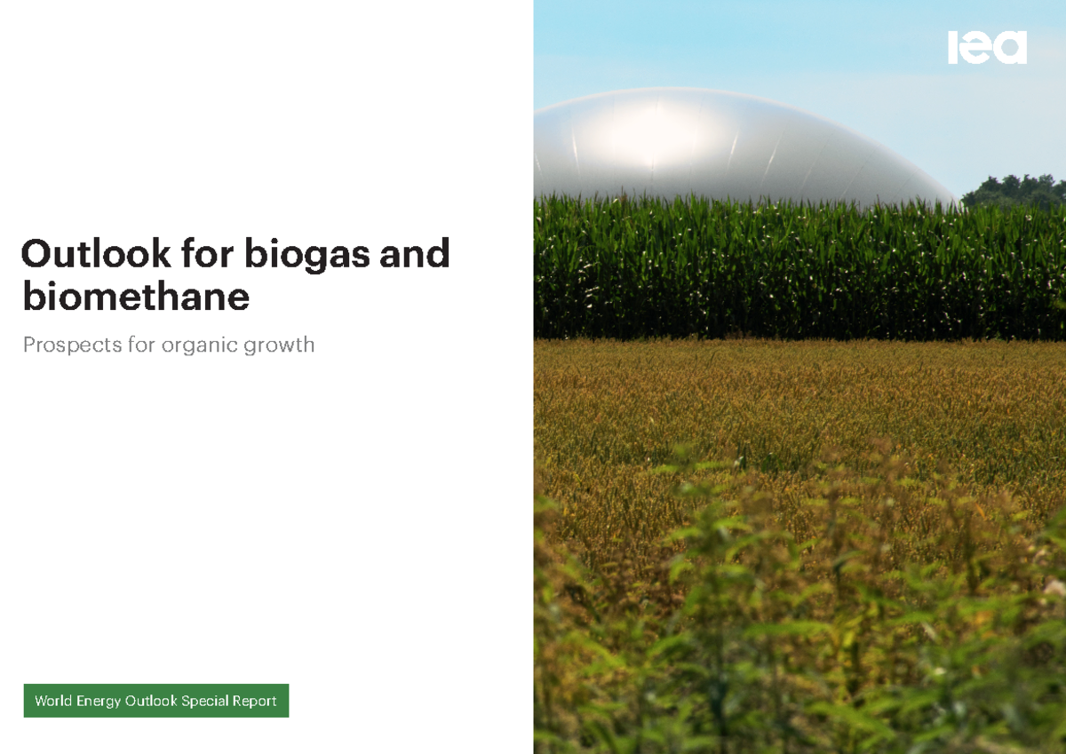 Outlook For Biogas And Biomethane - Biogas And Biomethane Producers ...