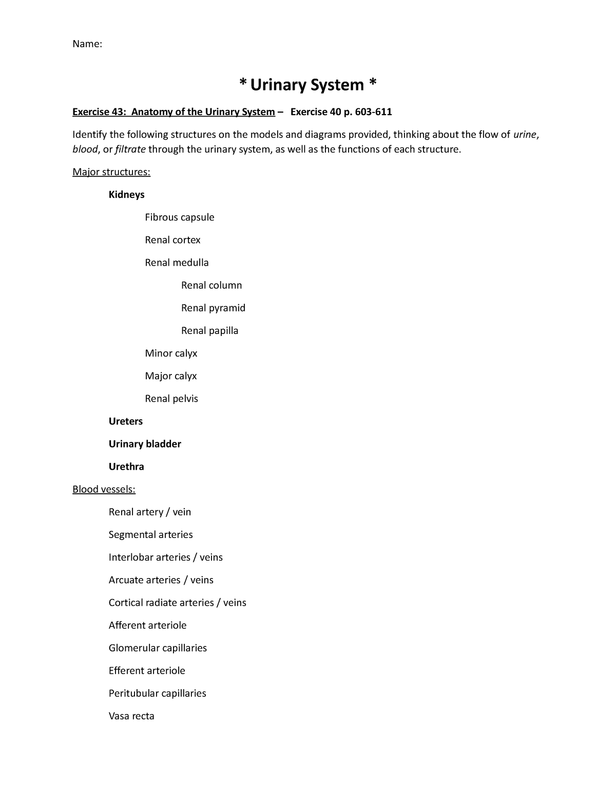 BIO 171 Exercise 40 - Urinary System handout - Name: * Urinary System ...