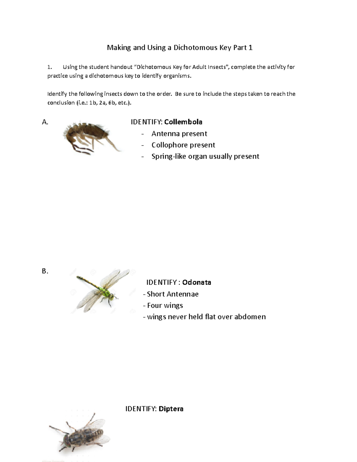 Dichotomous Key Part 1 Inclass activity Making and Using a