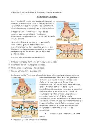1. Hipotálamo - Resumen fisiología del hipotálamo. - Fisiología - UBA ...