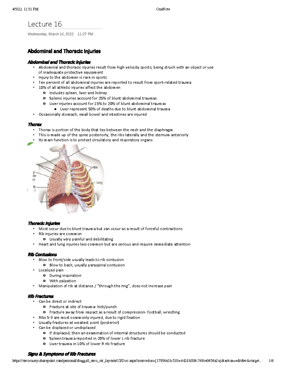 Kinesiology 2236B 1 - Abdominal and Thoracic Injuries - Lecture 16 ...