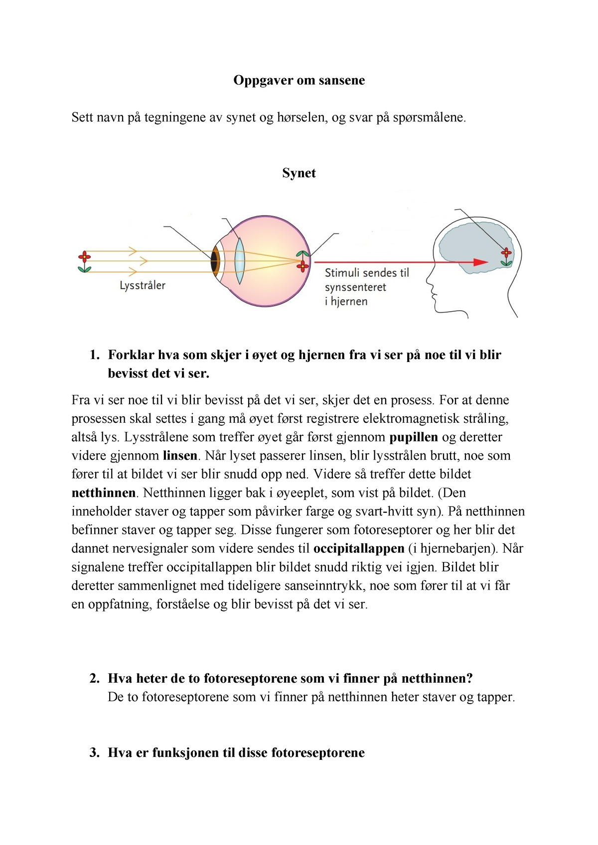 oppg Sansene (øyet) - Oppgaver om sansene Sett navn på tegningene av ...