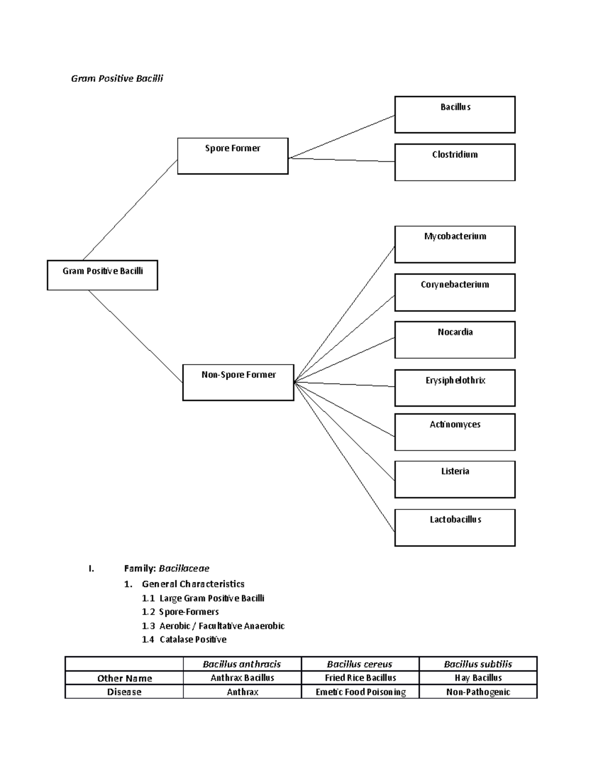 12-gram-positive-bacilli-2-gram-positive-bacilli-bacillus-spore