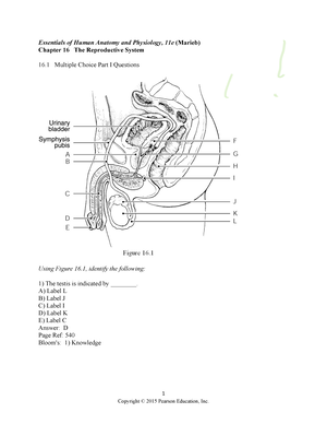 Chn chap2 - chn chapter 2 - CH2- FUNDAMENTALS OF COMMUNITY AND PUBLIC ...