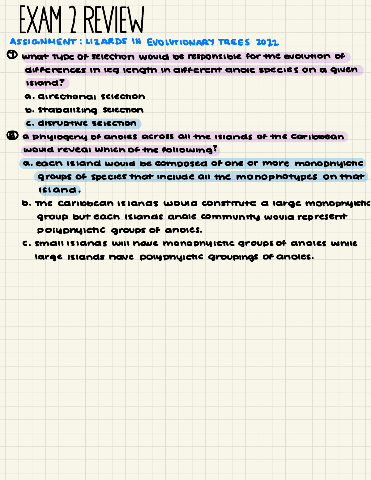 LIZARDS IN EVOLUTIONARY TREES - K ASSIGNMENT:LIZARDS IN ...