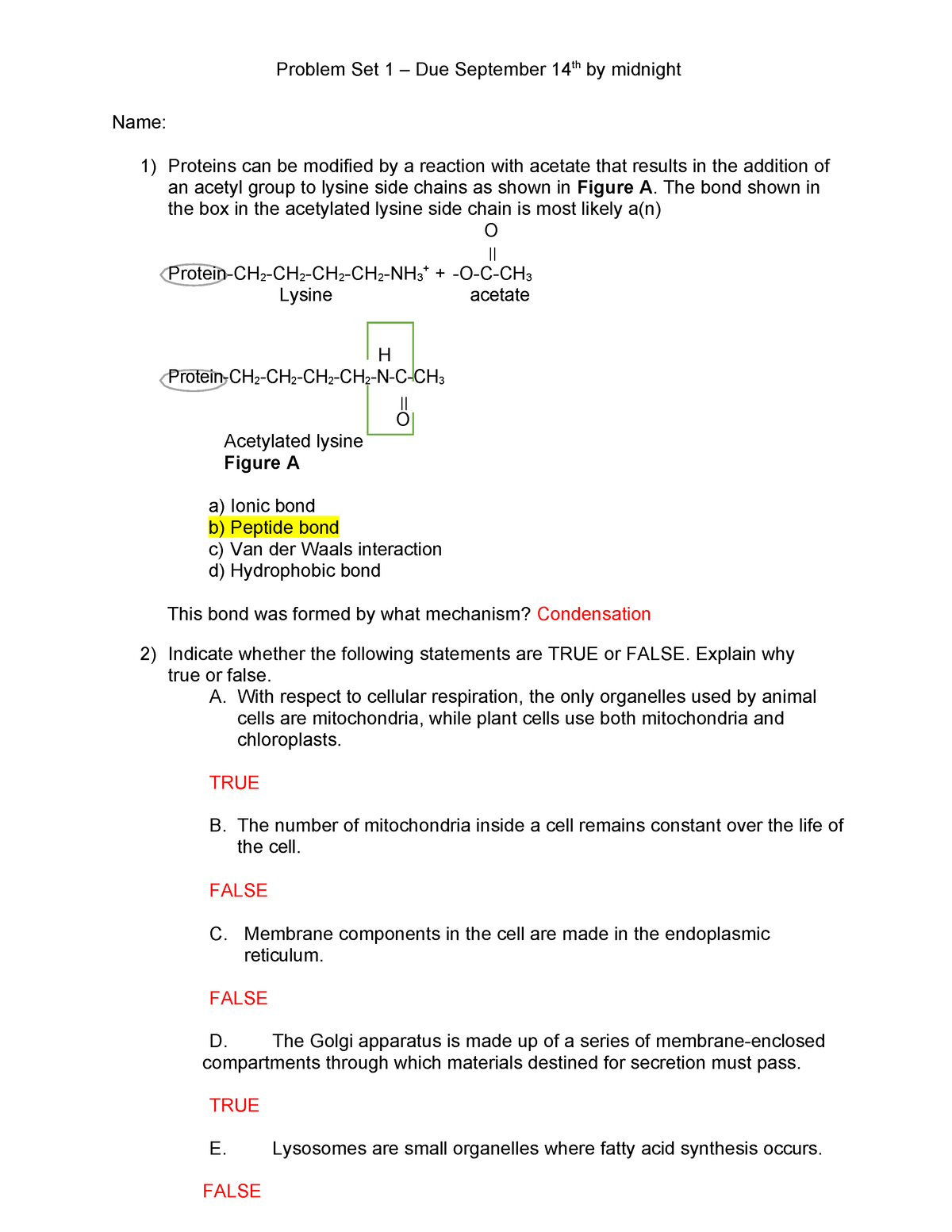 Cell Bio 2023 Problem Set 1-1 - Name: 1) Proteins can be modified by a ...