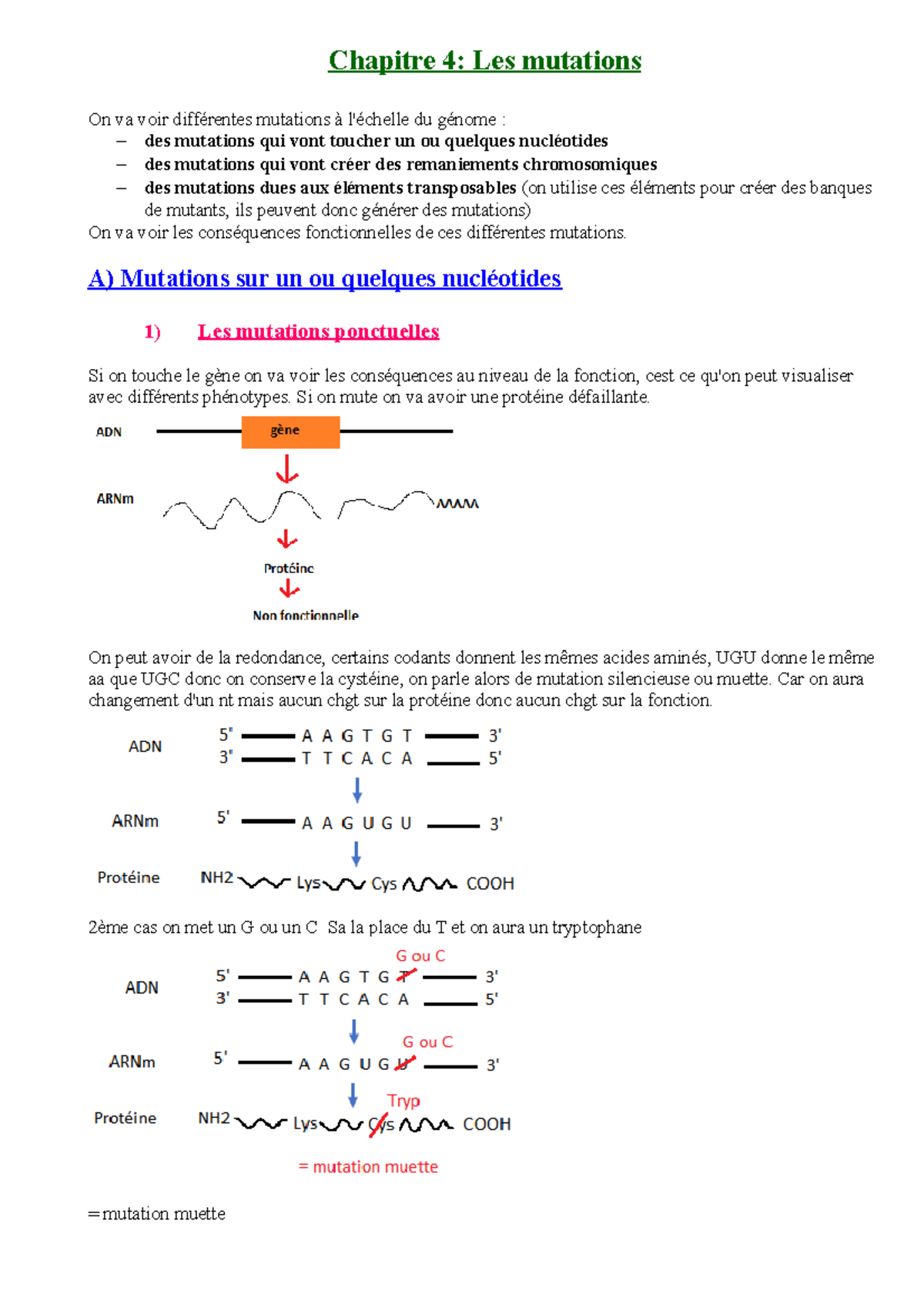Chapitre 4 - Les mutations - Chapitre 4: Les mutations On va voir ...