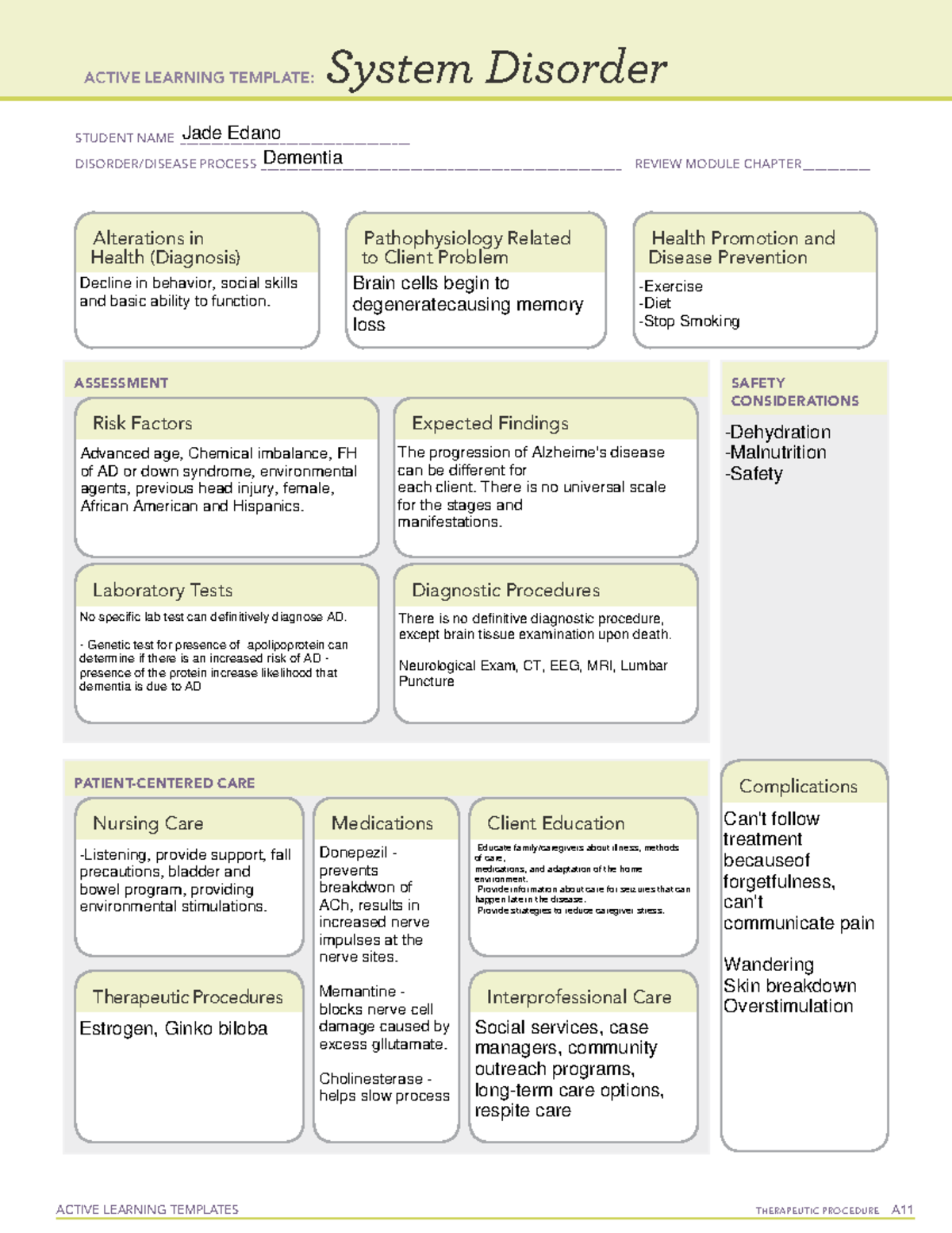 Dementia Template for lab - ACTIVE LEARNING TEMPLATES THERAPEUTIC ...