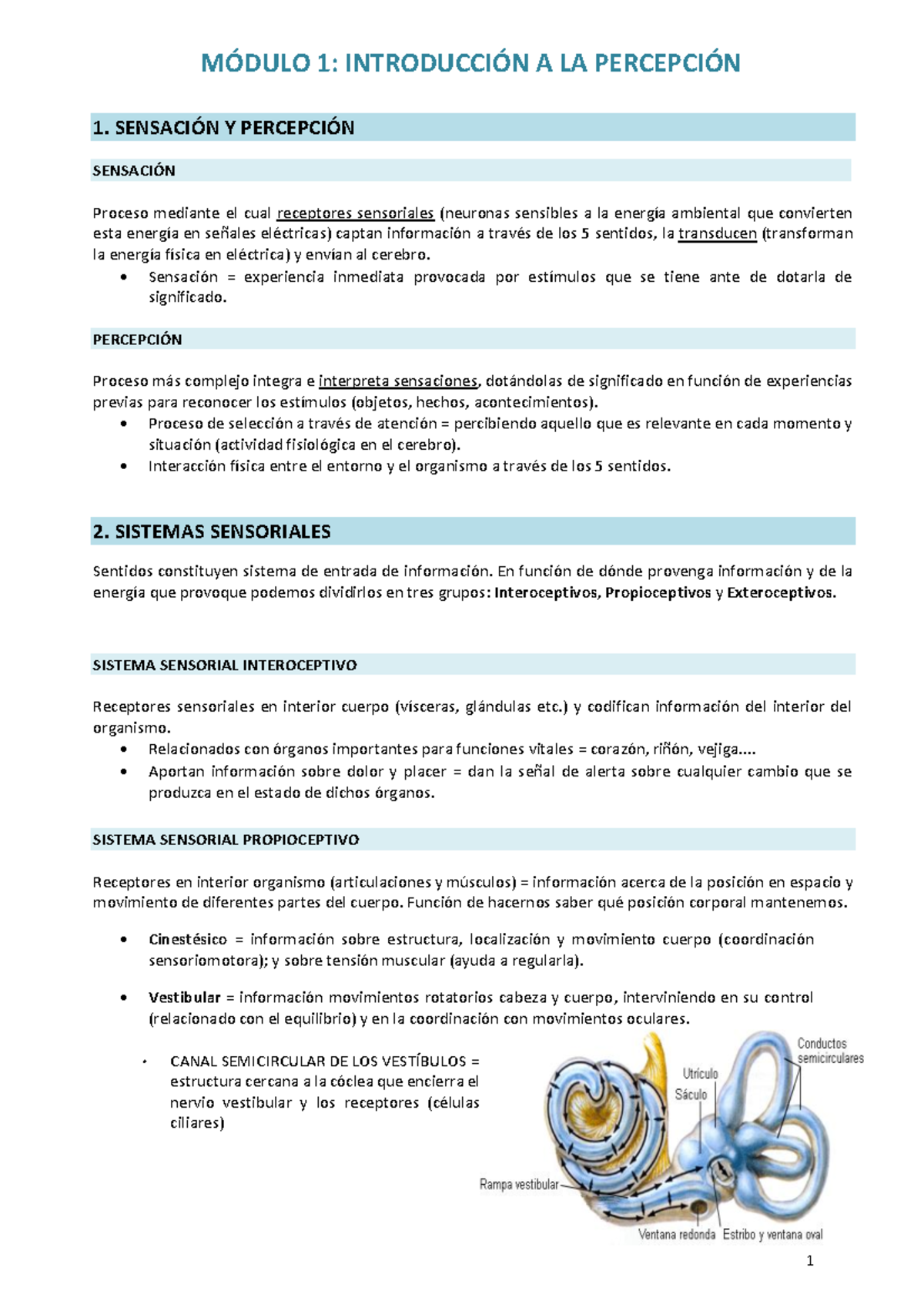 Mi Resumen Percepción Revisado - M”DULO 1: INTRODUCCI”N A LA PERCEPCI”N ...