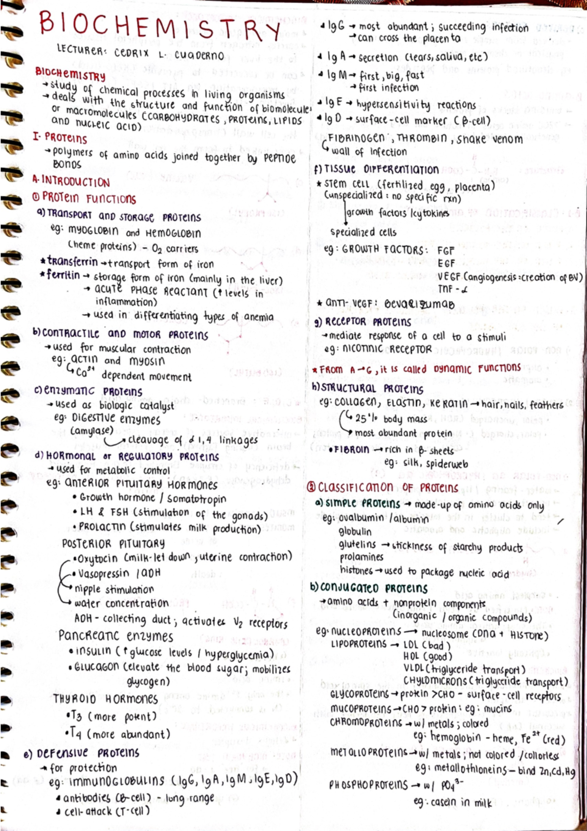 Biochemistry - BIOCHEMISTRY 1gG most succeeding infection can cross the ...