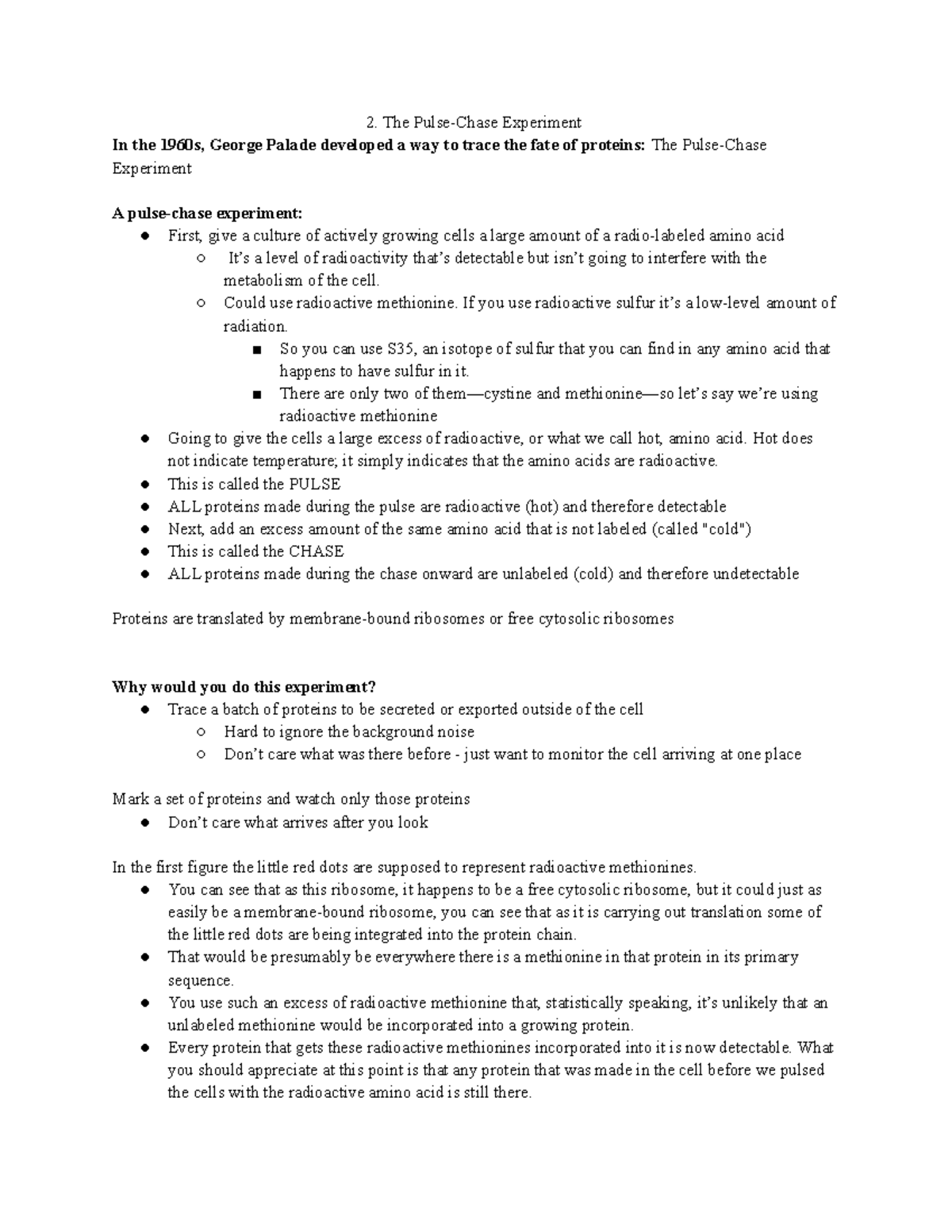 PulseChase Experiment Could use radioactive methionine. If you use