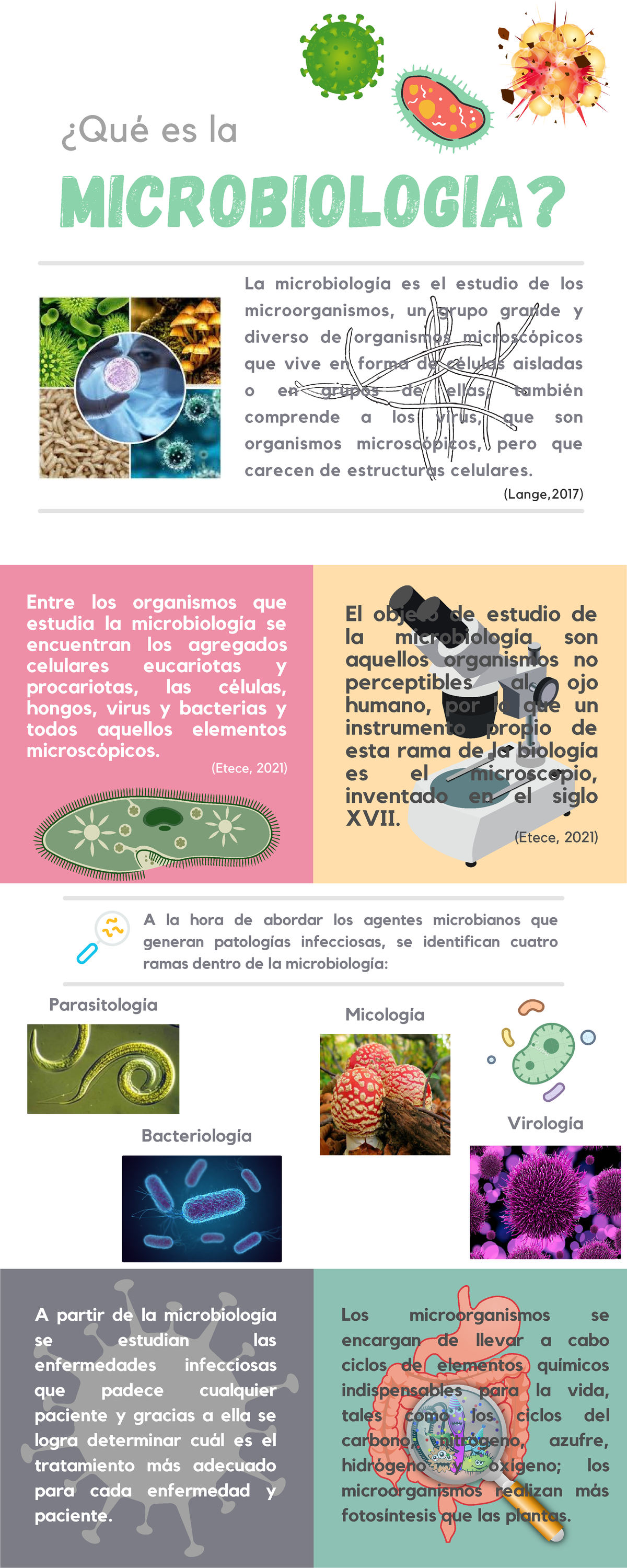 Microbiología y Parasitologia - ¿Qué es la MICROBIOLOGIA? La ...