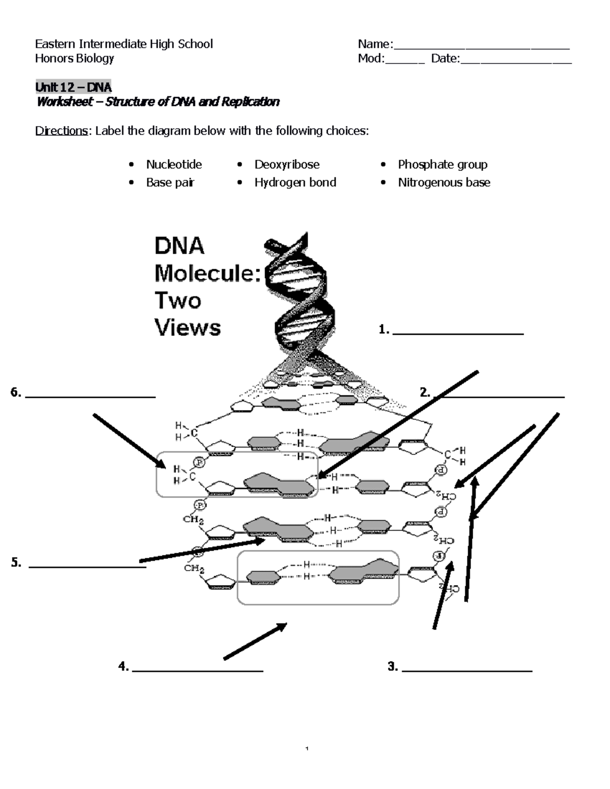 Worksheet - DNA Strucuture and Replication - Eastern Intermediate High ...