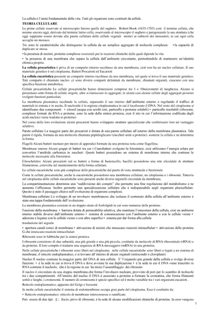 Tesi Sperimentale - UNIVERSITÀ POLITECNICA DELLE MARCHE FACOLTÀ DI ...