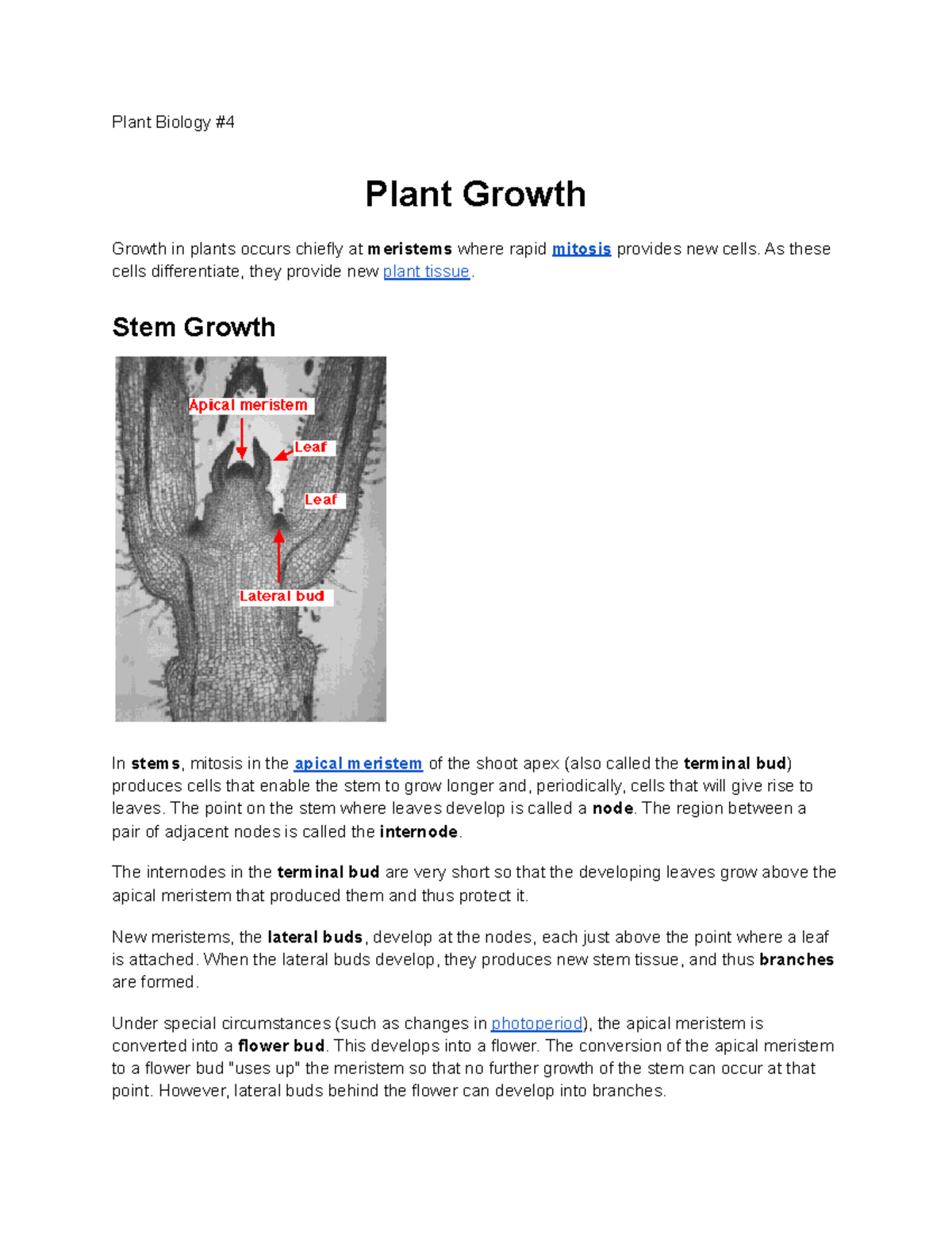 plant-biology-4-plant-biology-plant-growth-growth-in-plants-occurs