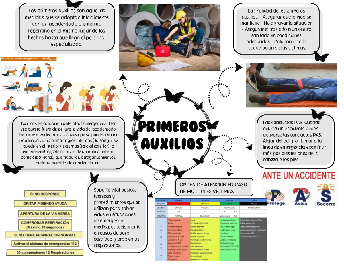 M2 Mapa mental de los primeros auxilios - Los primeros auxilios son