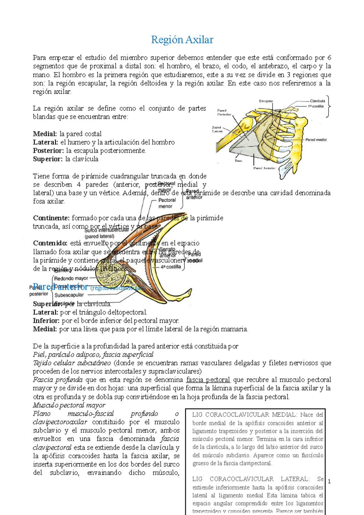 fascia axilar