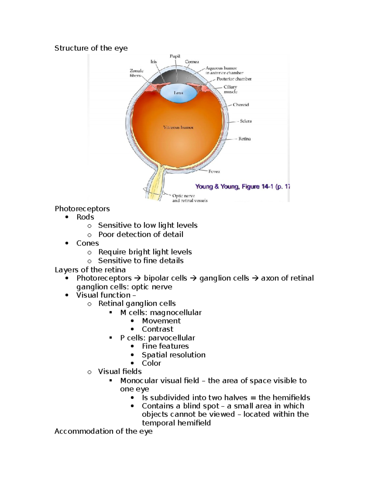 Visual function lecture notes Structure of the eye Photoreceptors