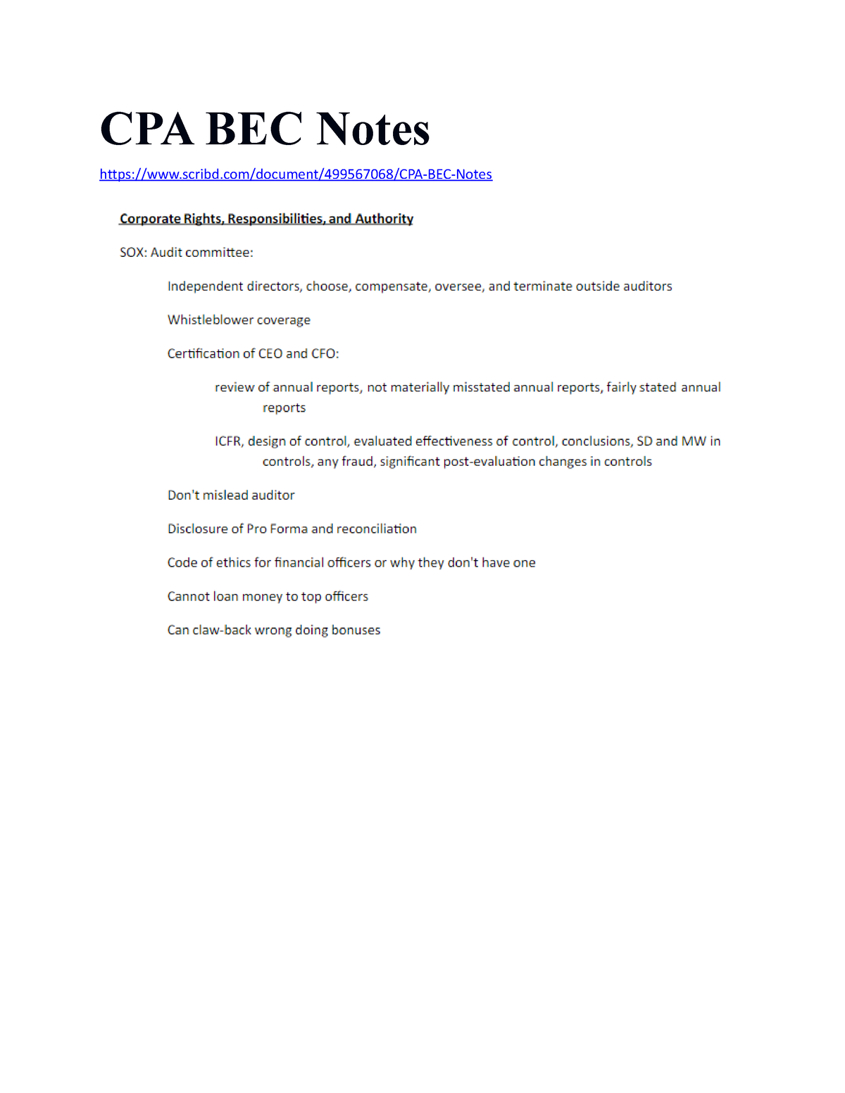 cpa bec essay