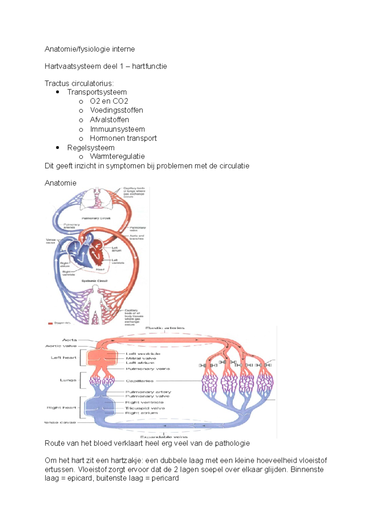 Samenvatting Anatomie/fysiologie Interne - Anatomie/fysiologie Interne ...