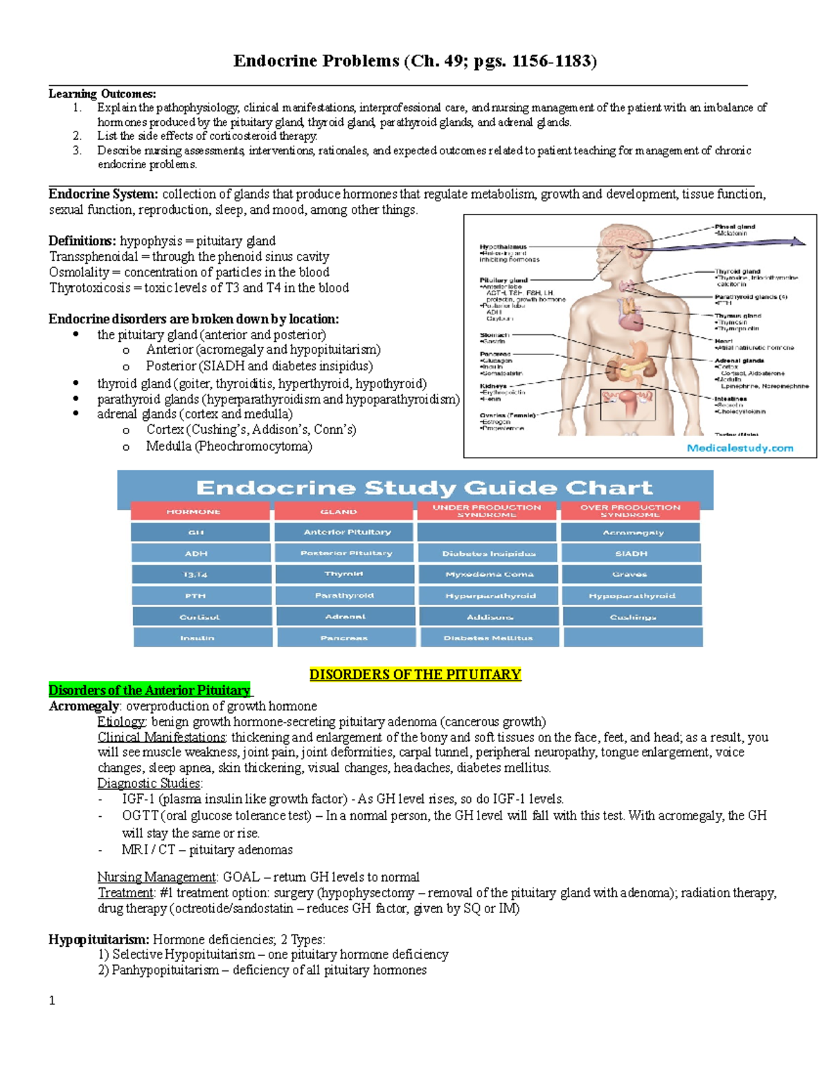 Endocrine System - Lewis - - Studocu