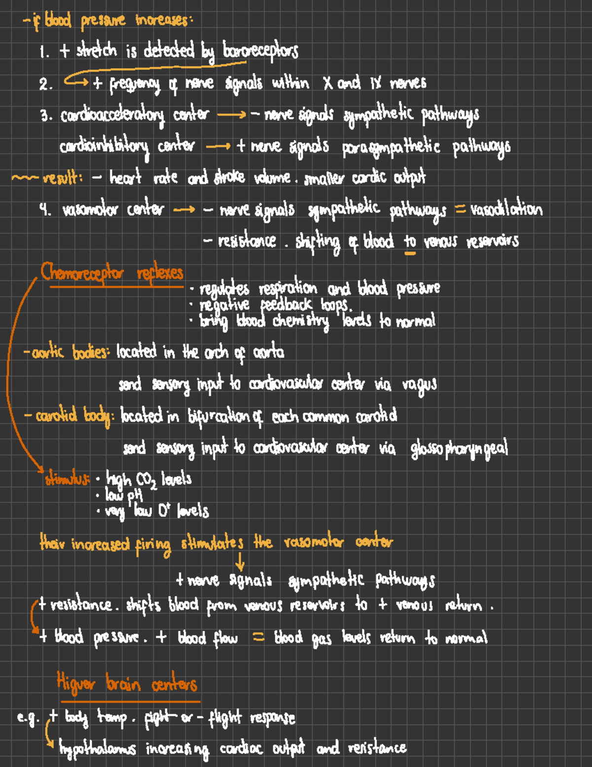 chapter-20chapter-20-the-cardiovascular-system-if-blood-pressure