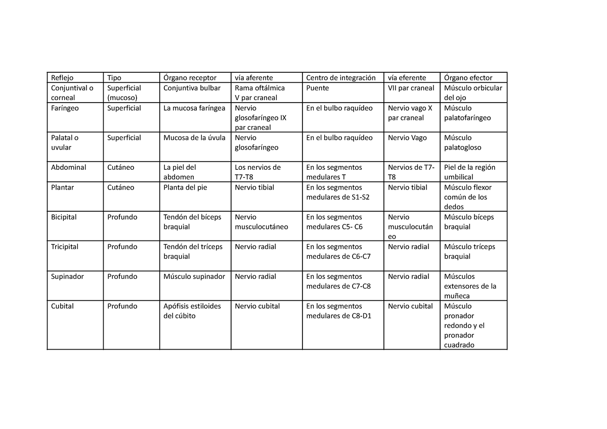 Reflejos En El Hombre Parte 1 - Reflejo Tipo Órgano Receptor Vía ...