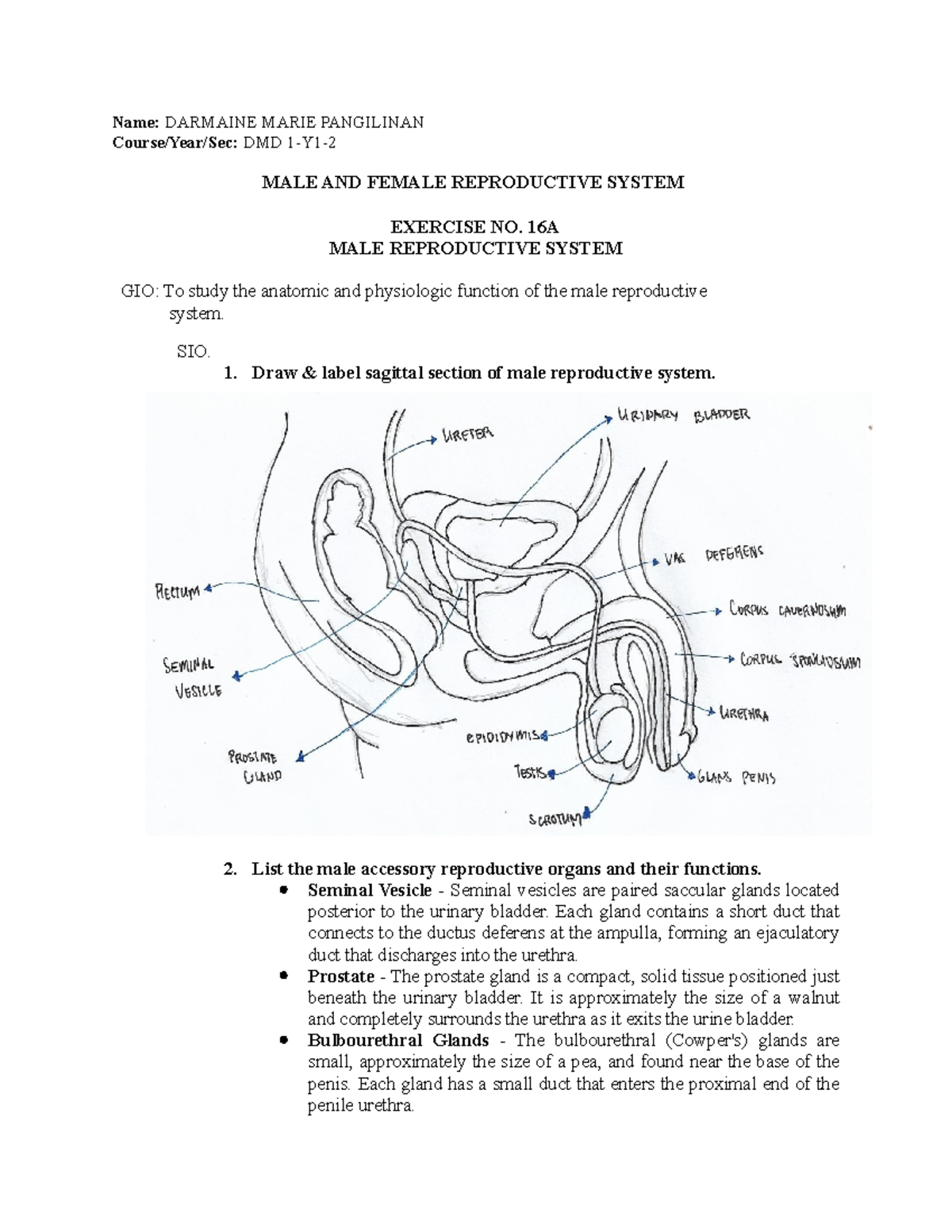 Week 17 L.e Pangilinan - The Branch Of Science Concerned With The 