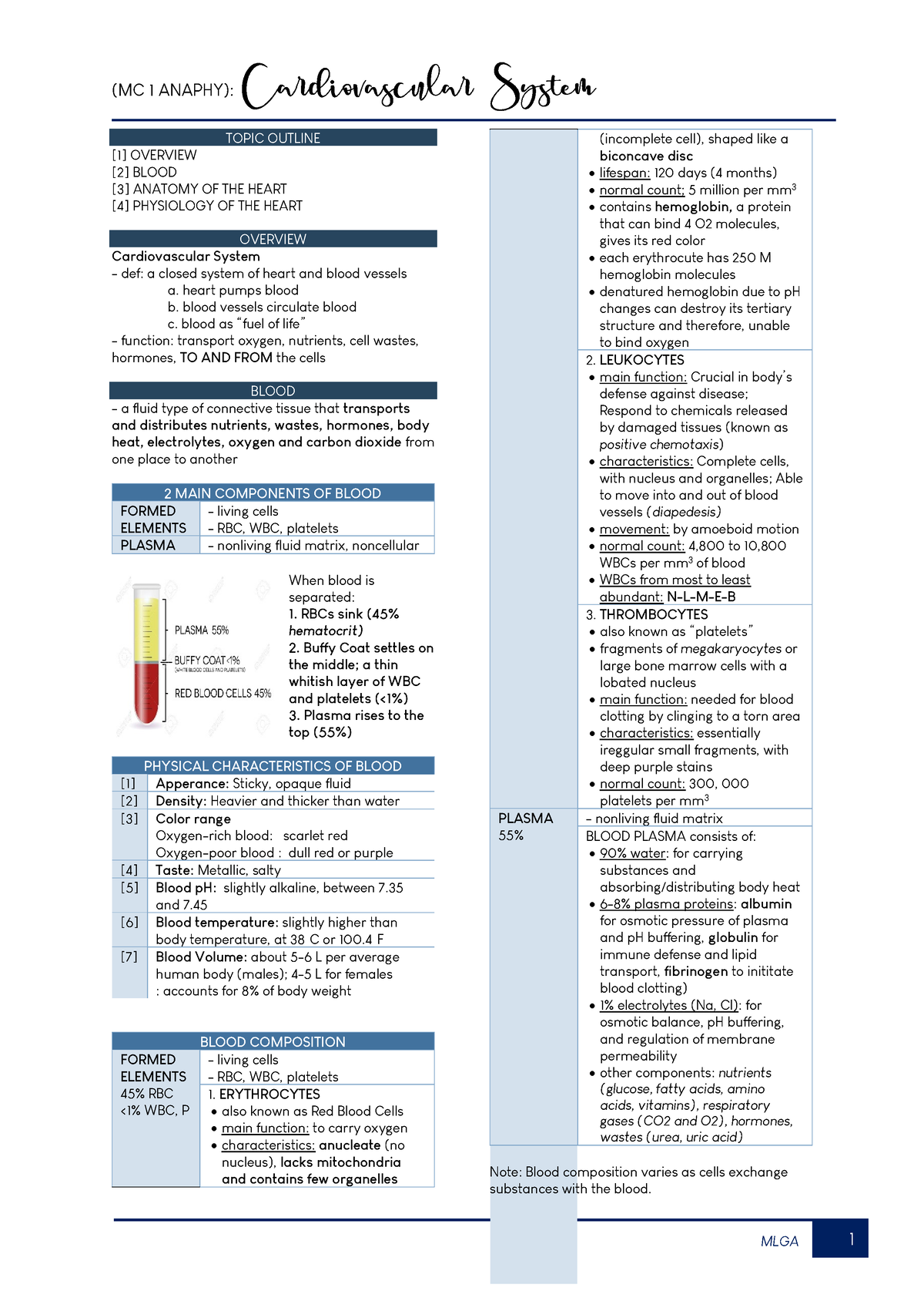 quick-study-guide-to-the-cardiovascular-system-topic-outline-1