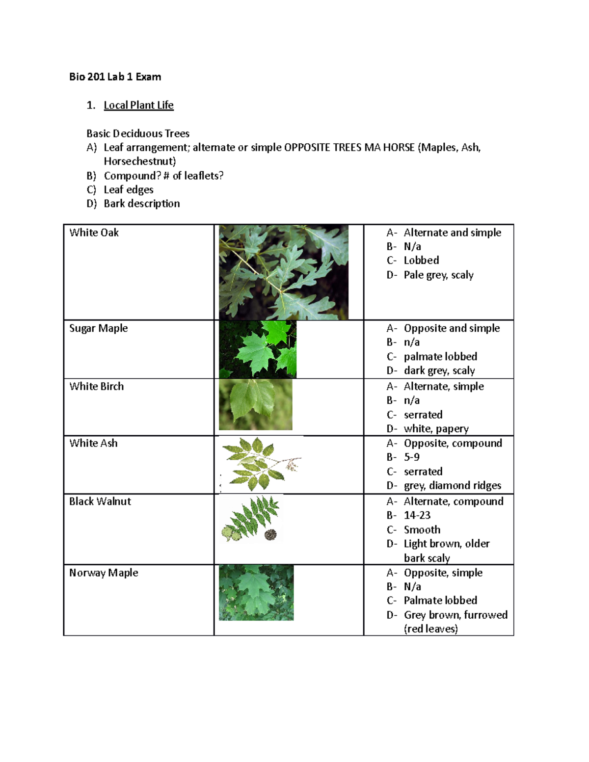 BIOL 201 lab exam - Bio 201 Lab 1 Exam 1. Local Plant Life Basic ...