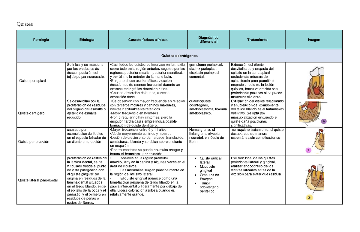 Quistes Tabla - Quistes Patología Etiología Características Clínicas ...