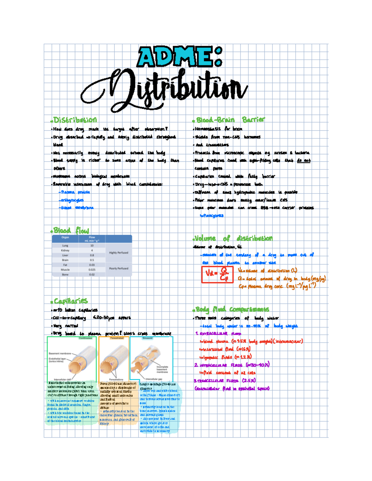 ADME distribution - lecture notes - Pores (60-80 nm diameter) spanned ...