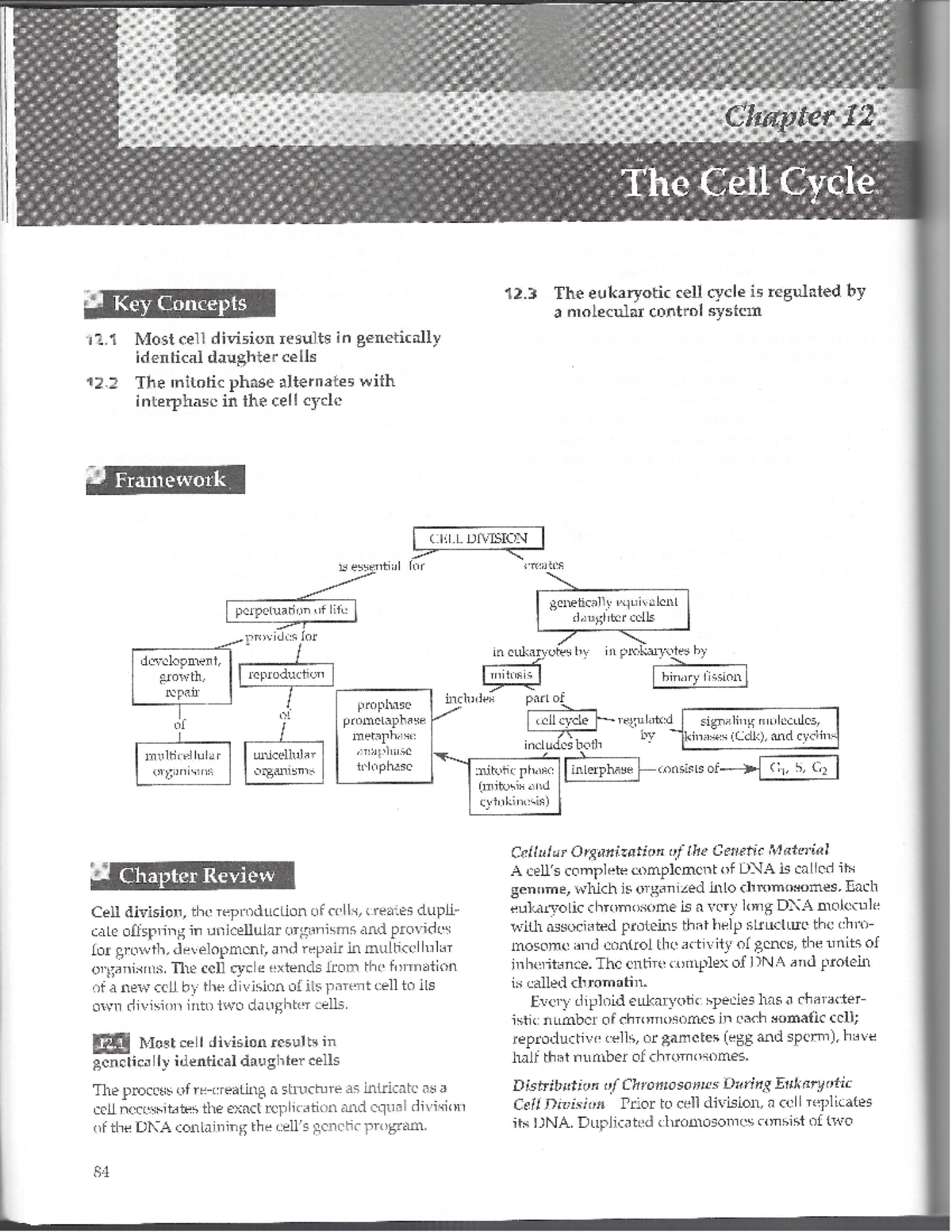 Chapter 12 - Lecture Notes 12 - BIO101 - Studocu