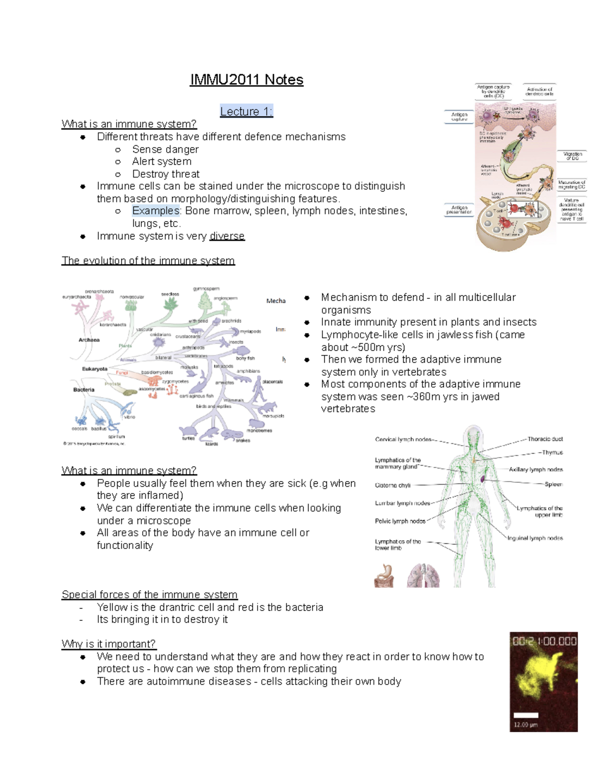 Week 1 IMMU2011 notes - IMMU2011 Notes Lecture 1: What is an immune ...